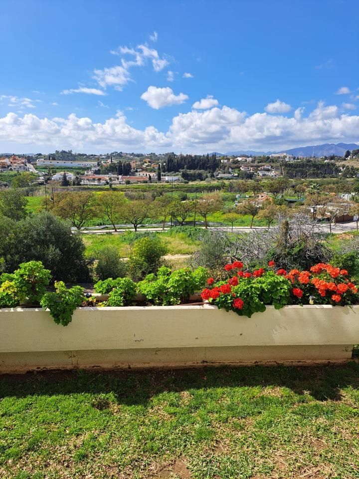 Pis de lloguer a Av. Pacosol, Los Pacos