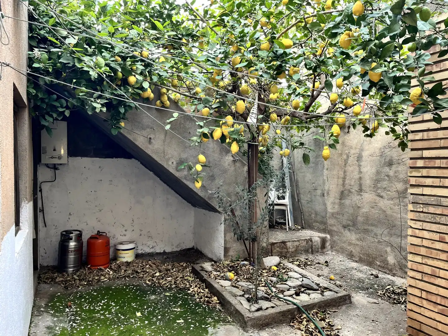 Jardí de Casa o xalet en venda en Vélez de Benaudalla amb Jardí privat i Moblat