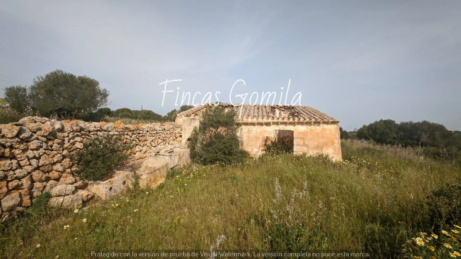 Terreny rústic en venda a cami des pujol