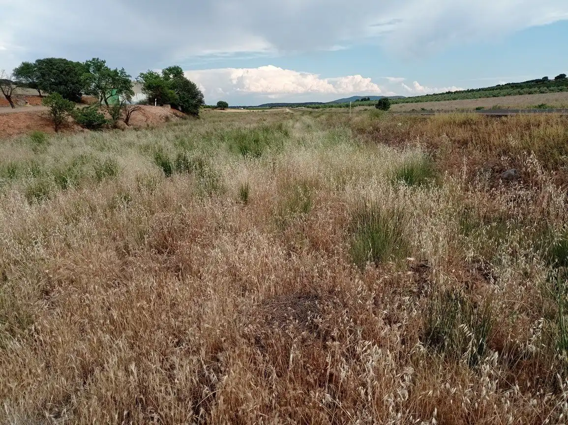 Finca rústica en venda en Cózar