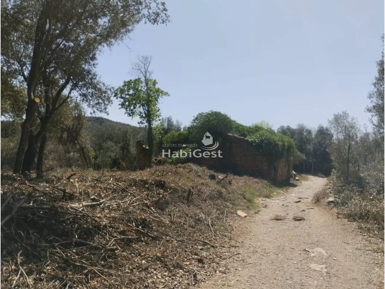 Land for sale in Girona