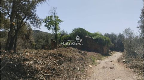 Foto 2 de Terreno en venta en Sant Daniel, Sant Daniel, Girona Capital