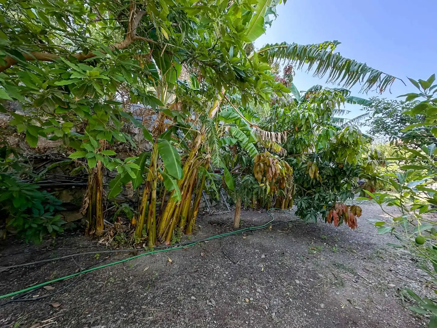 Jardín de Casa o chalet en venta en Motril con Calefacción, Terraza y Trastero