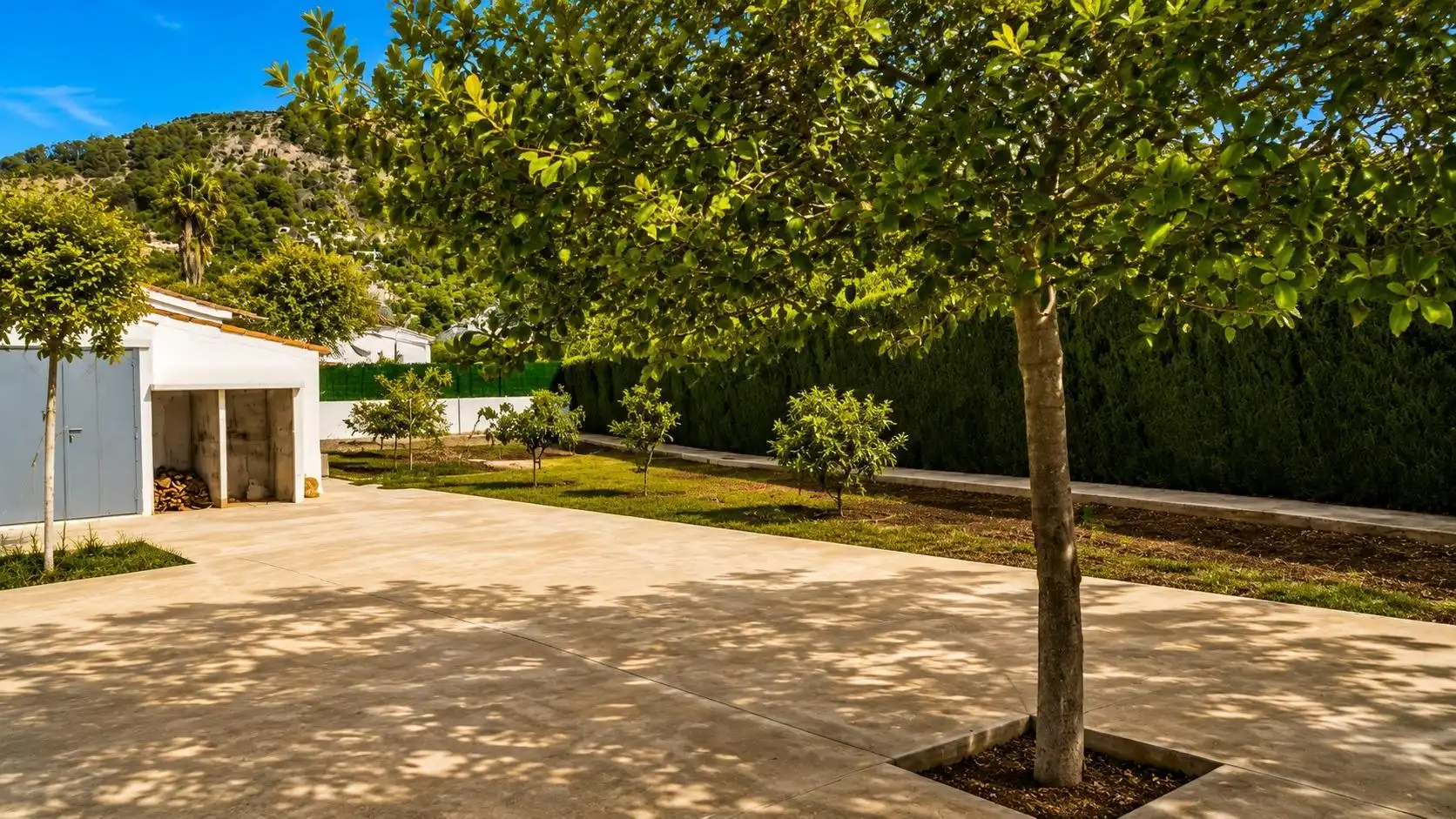 Terrenos y solares en venta en Bunyola, imagen 6