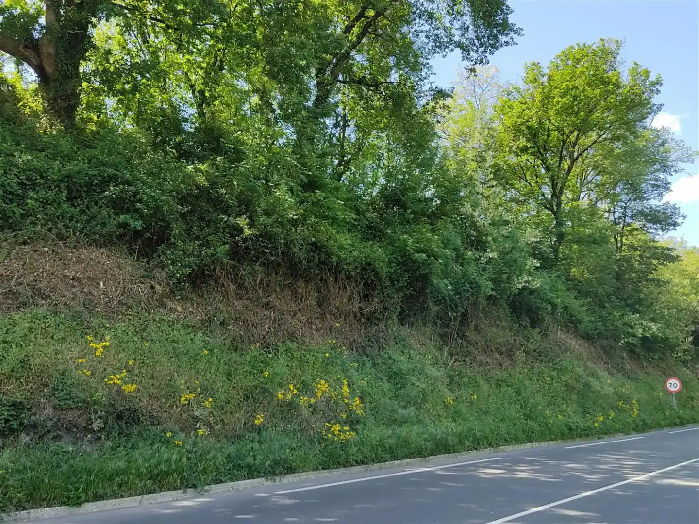 Grundstücke zum Verkauf in Idiazabal