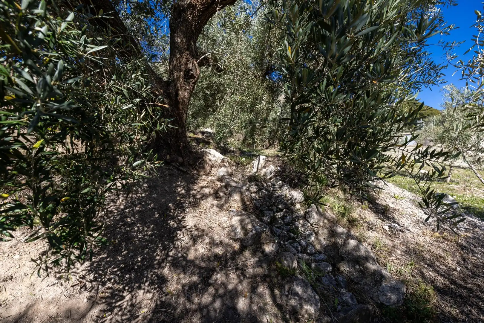 Terreni e lotti in vendita a Dúrcal, imagen 19