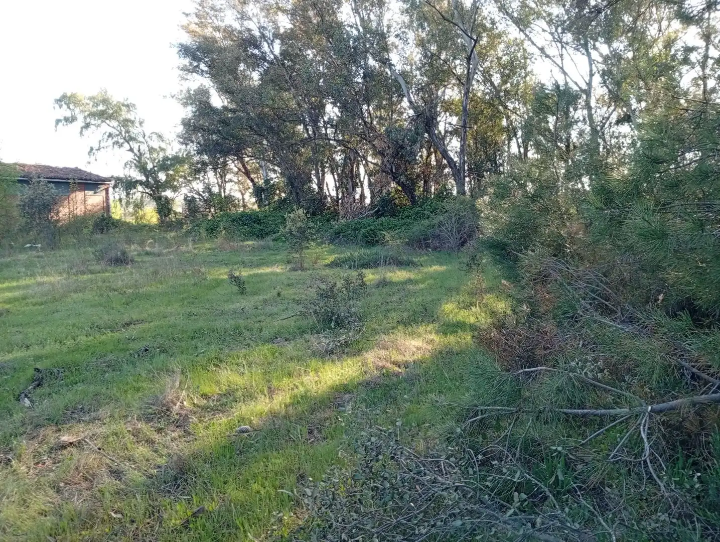 Terreni e lotti in vendita a Villanueva de la Vera, imagen 122