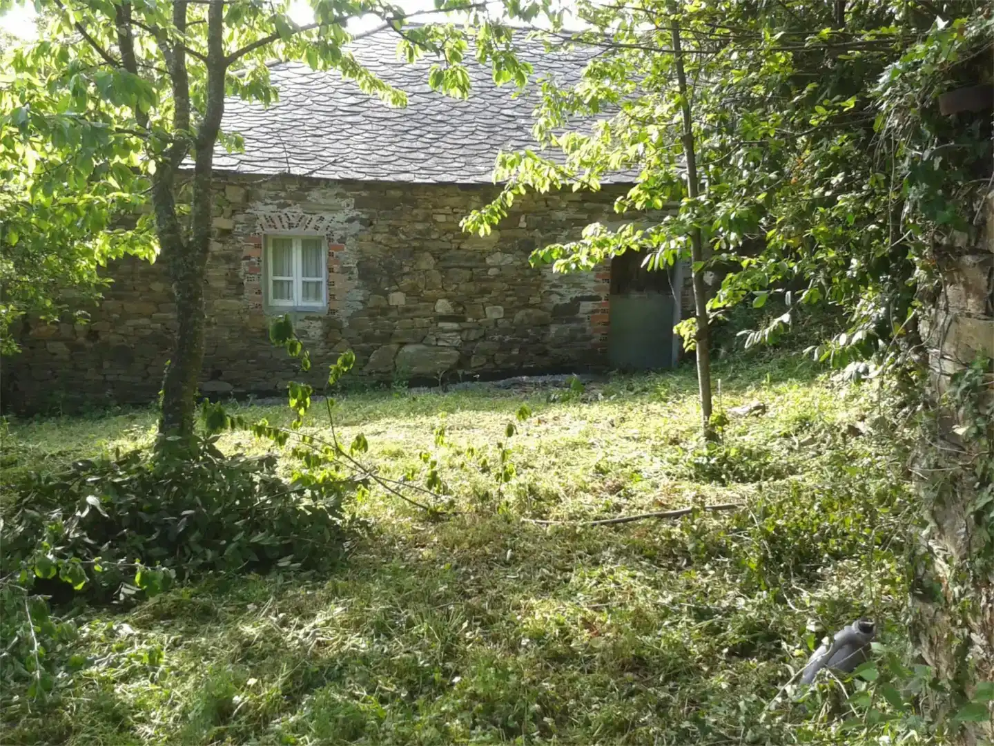 Vista exterior de Pis en venda en A Fonsagrada  amb Jardí privat