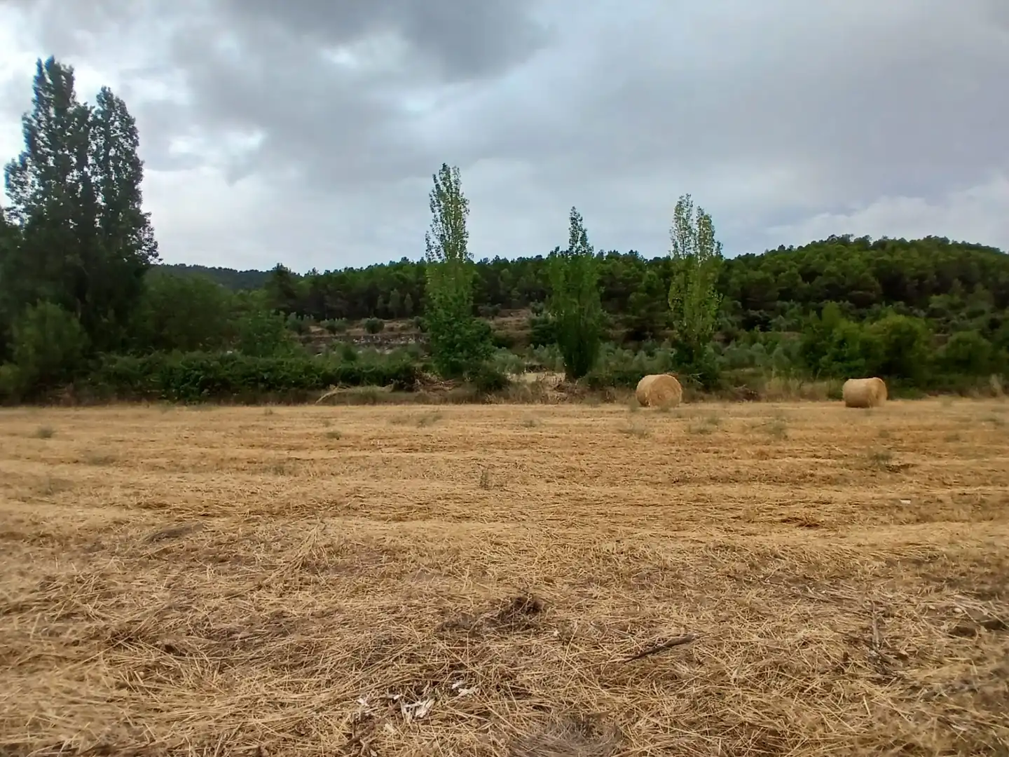 Terreno rustico in vendita a La Fresneda, imagen 5