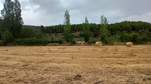 Finca rústica con maset en la Fresneda, immagine 5