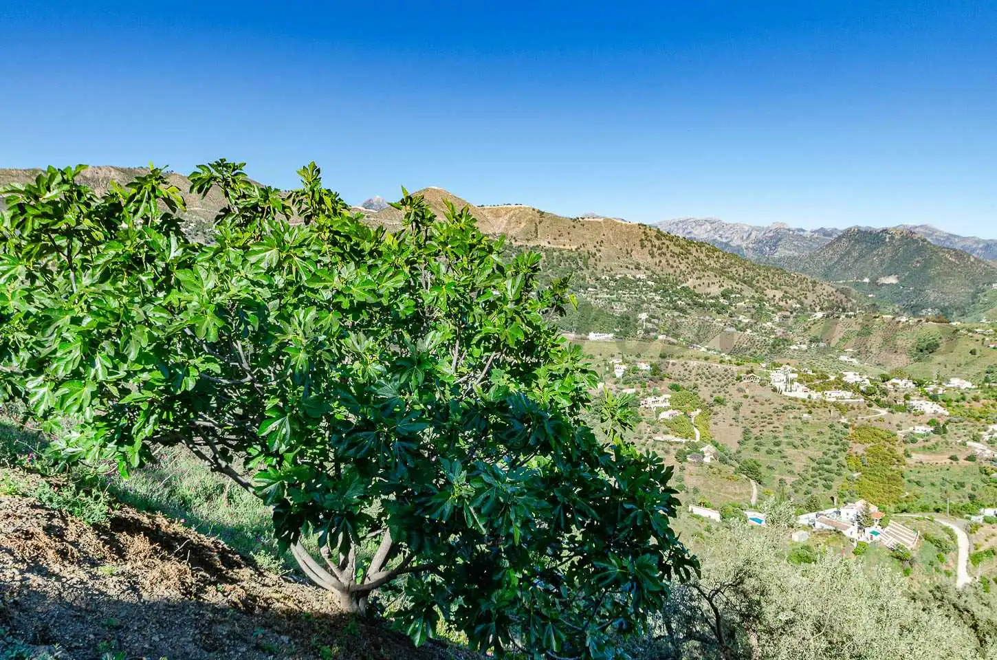 Casa rústica en venta en Cómpeta, imagen 27