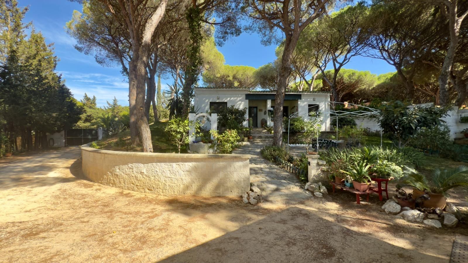 Jardín de Casa o chalet en venta en Chiclana de la Frontera con Aire acondicionado, Jardín privado y Terraza
