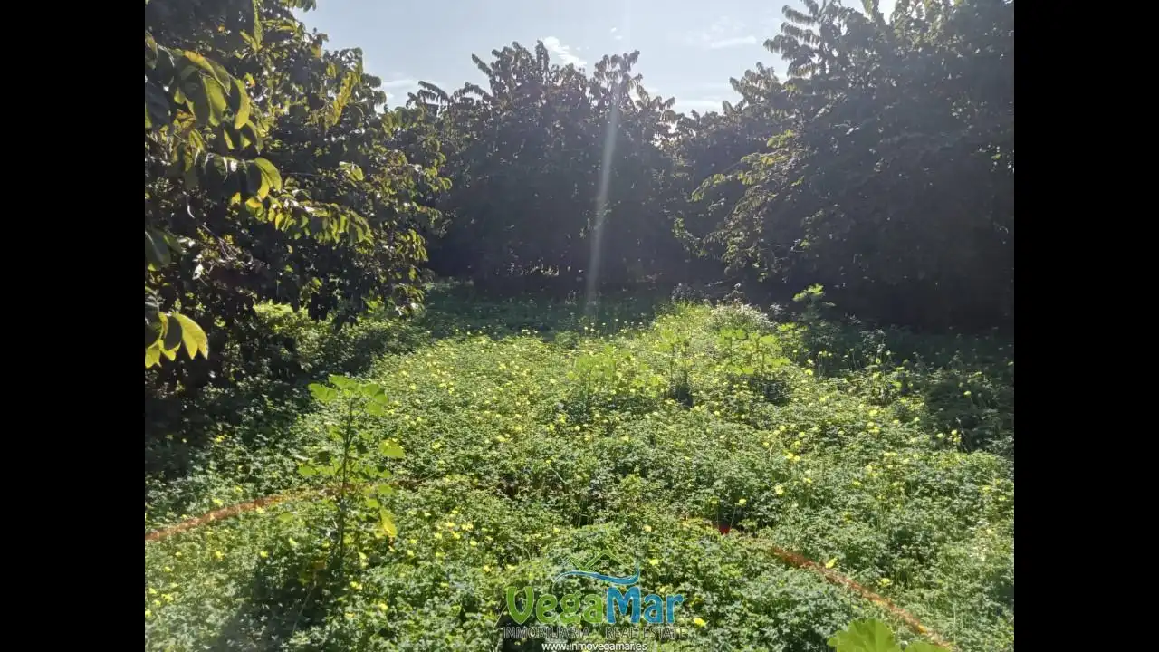 Residencial en venta en Almuñécar