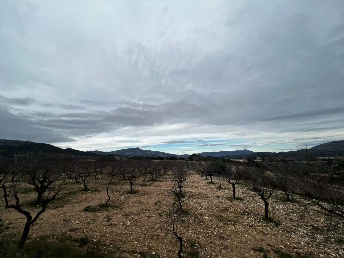 Casa rústica amb terrassa en venda a Penàguila, imagen 58