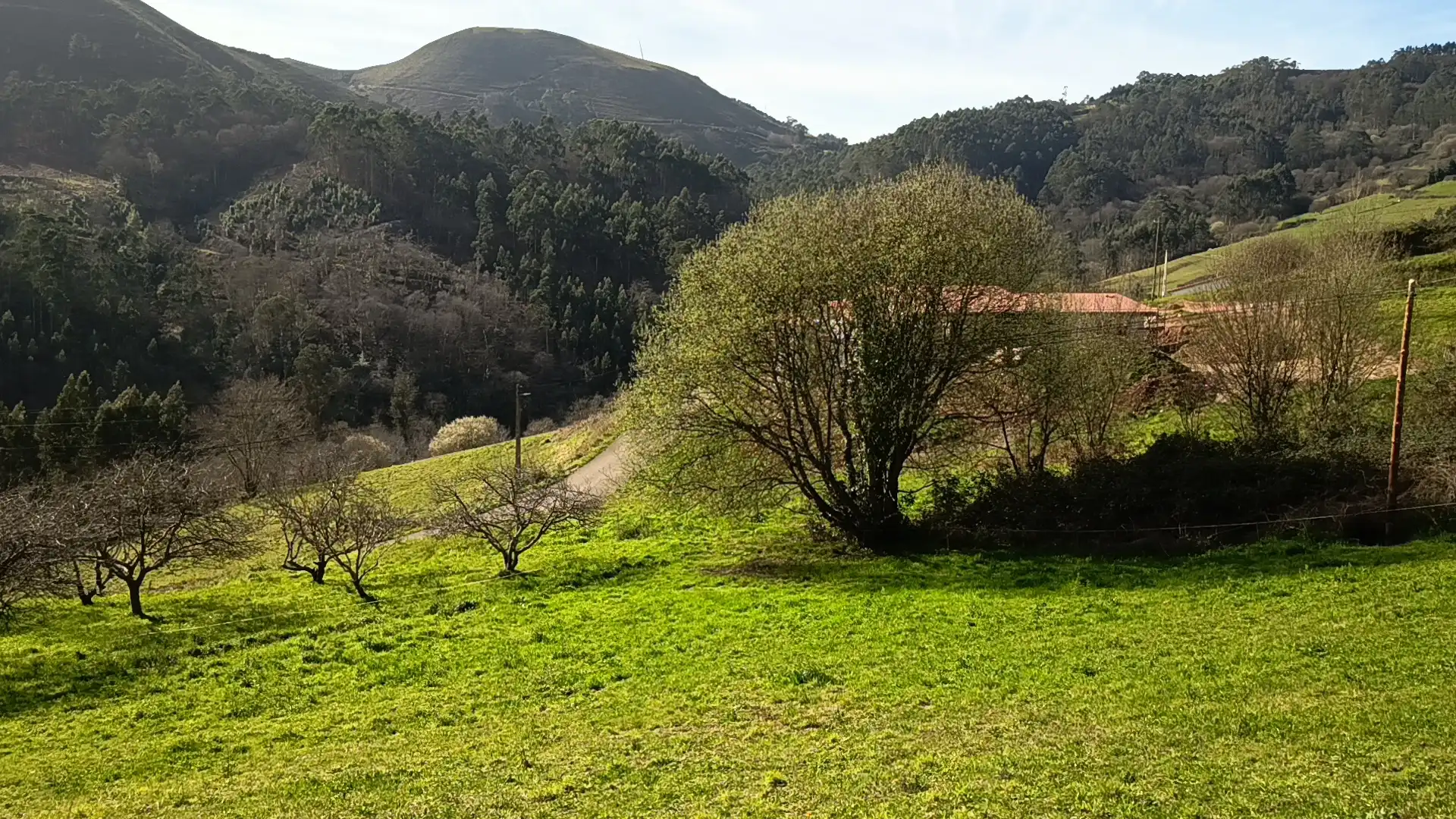 Grundstücke und Bauplätze zum Verkauf in La Peral, imagen 8