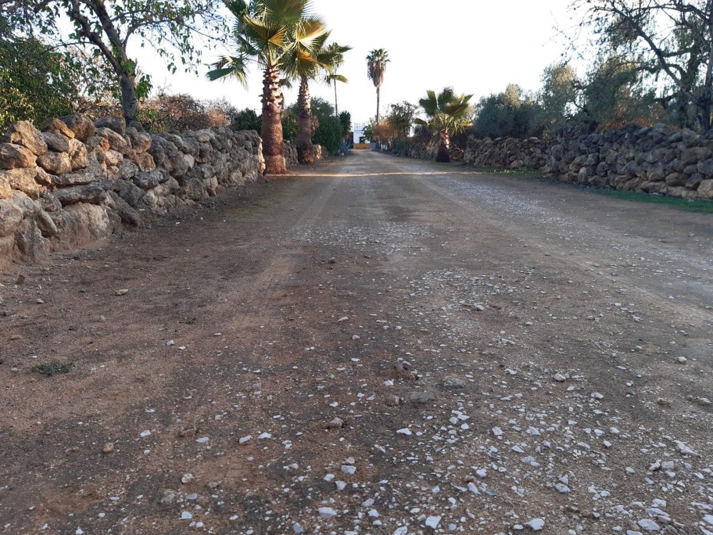 Casa o chalet en venta en Utrera con Jardín privado, Trastero y Piscina