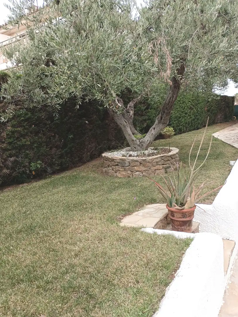 Villa avec jardin à vendre à Miami Platja, imagen 4