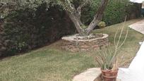 Jardí de Casa o xalet en venda en Mont-roig del Camp amb Jardí privat, Terrassa i Traster