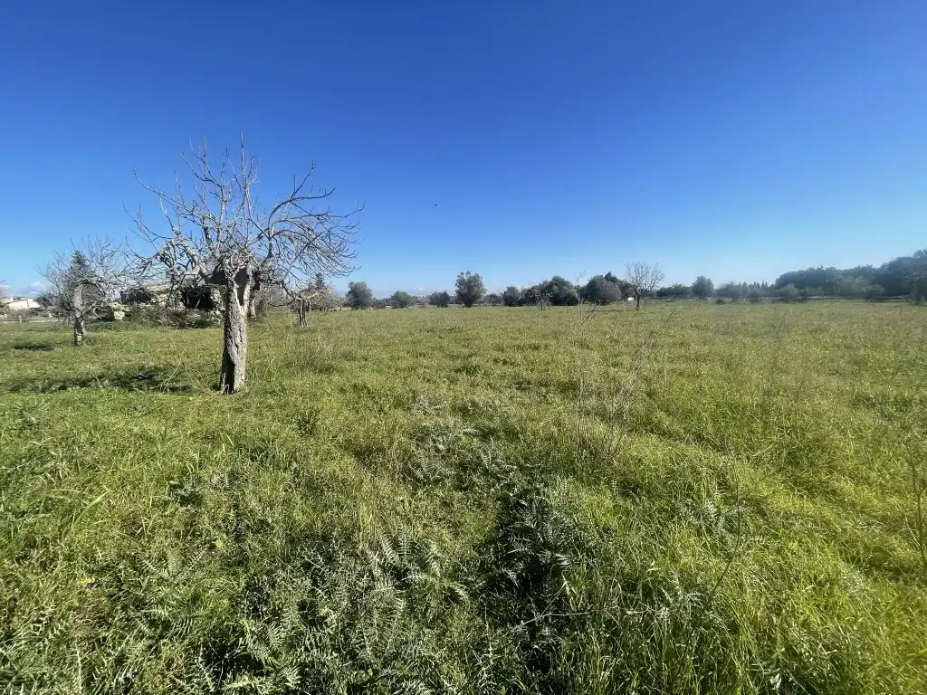 Terrain rustique à vendre à Selva, imagen 7