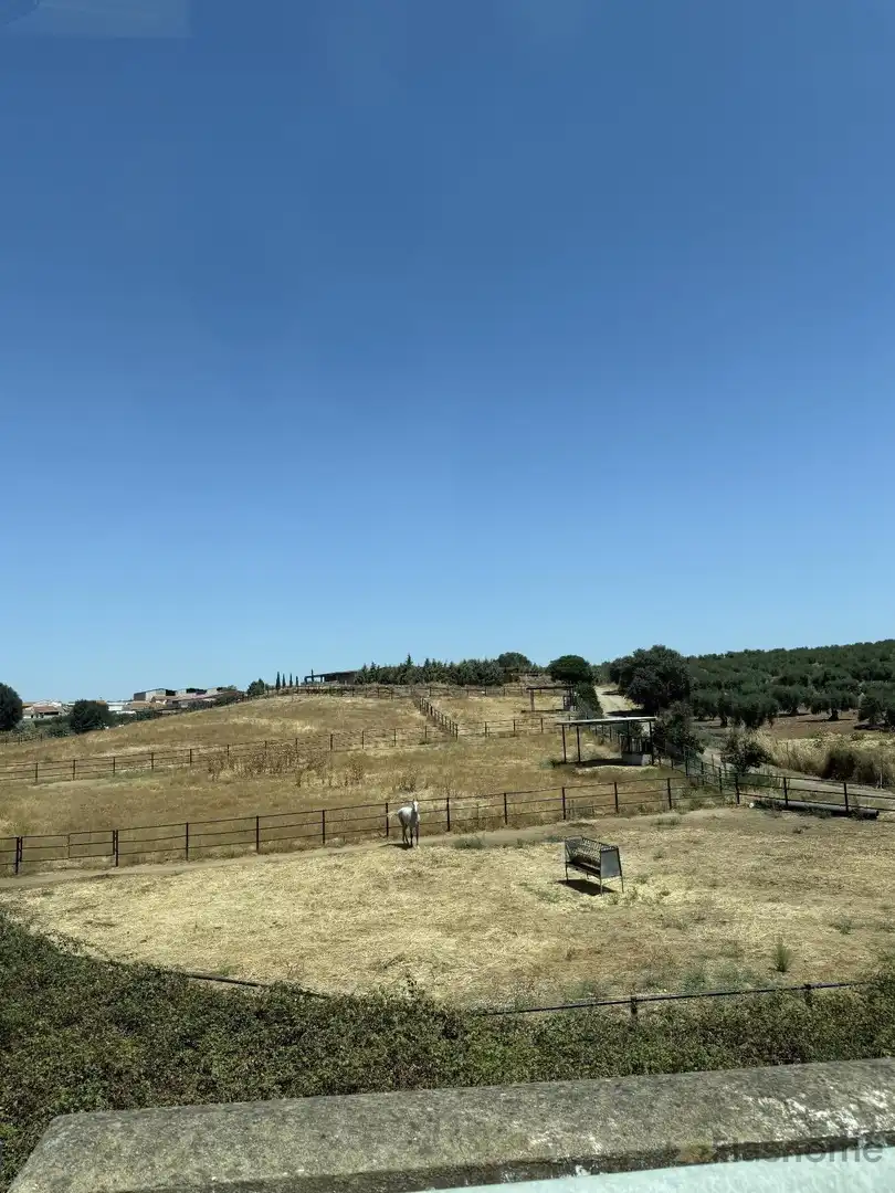 Finca rústica en venta en San Pedro de Mérida con Amueblado