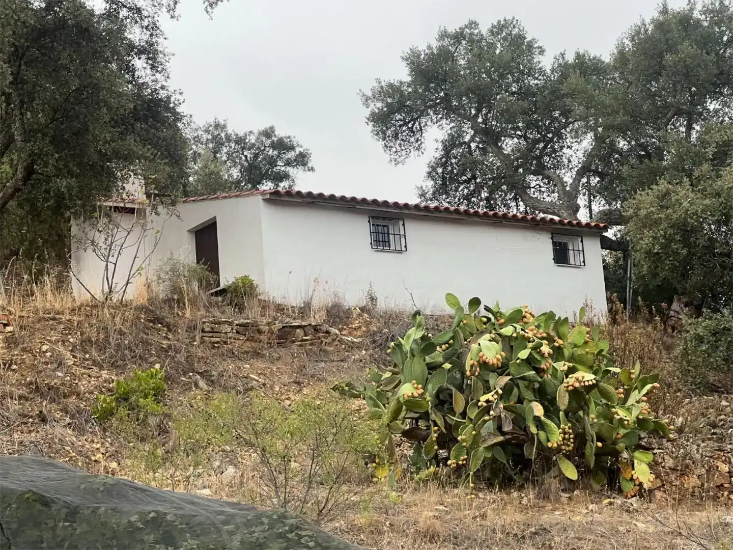 Vista exterior de Finca rústica en venta en Castañar de Ibor con Piscina