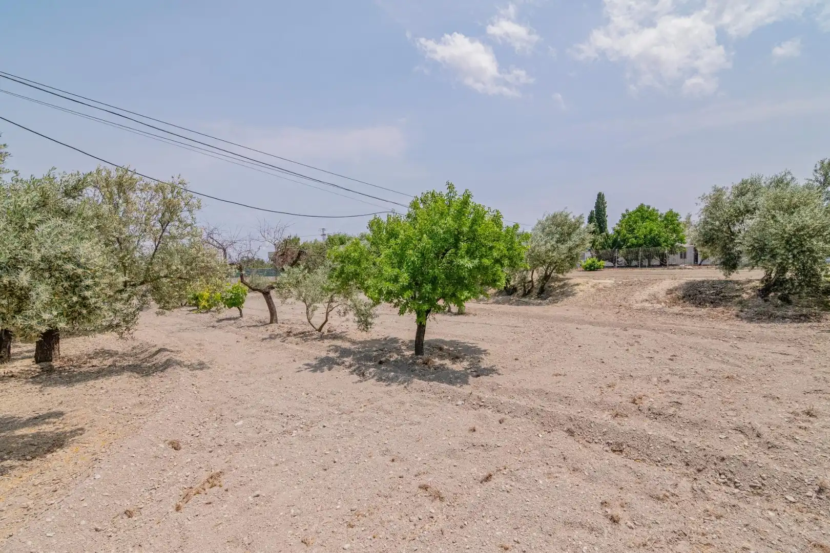 Apartments for sale in Baza