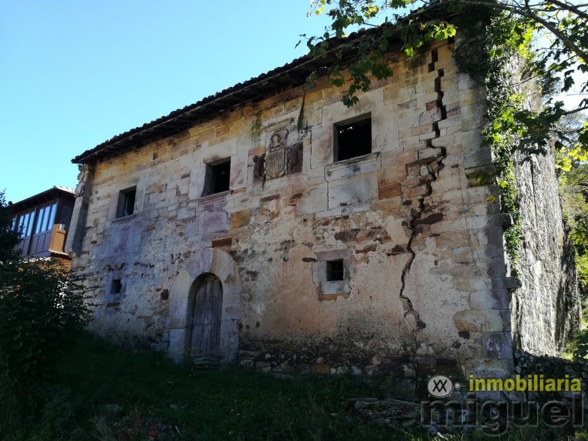 Exterior view of House or chalet for sale in Peñamellera Alta