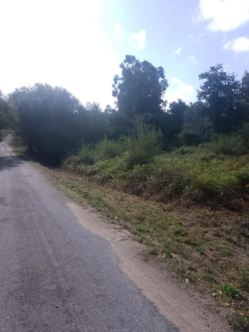 Terrain rustique à vendre à Ribadumia, imagen 4