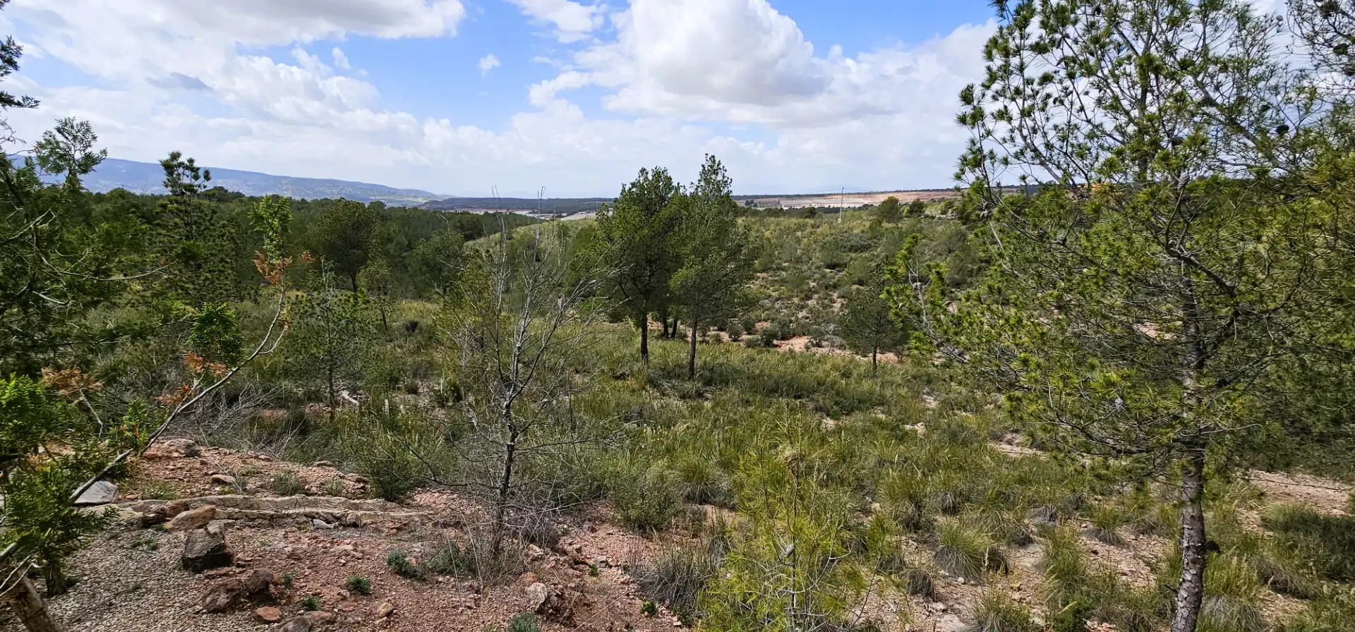 Casa o xalet en venda en Aledo amb Jardí privat, Terrassa i Traster