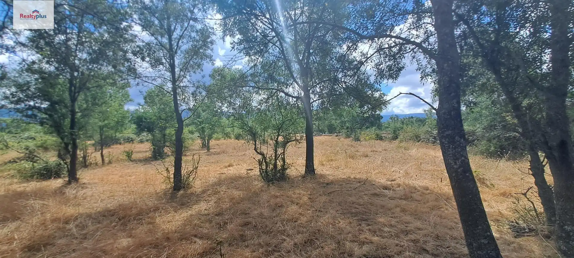 Terreni e lotti in vendita a Sotosalbos, imagen 20