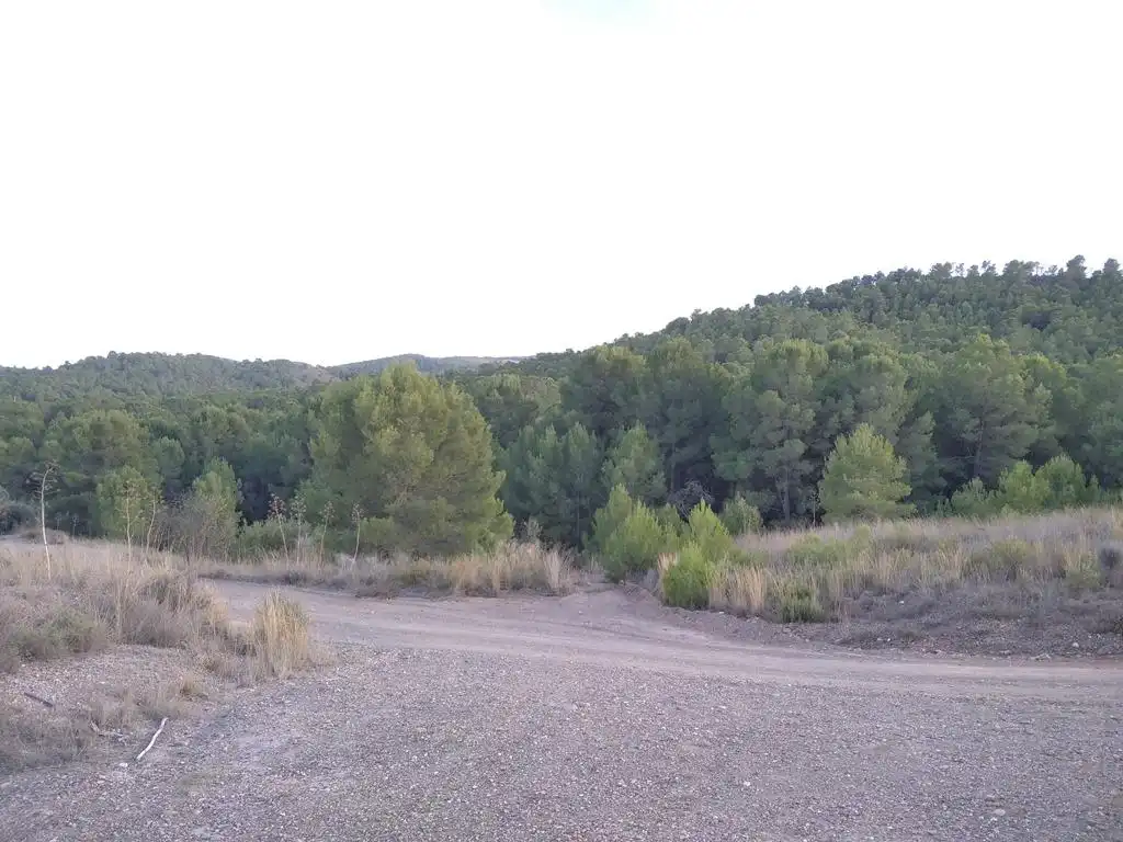Casa o chalet en venta en Ortillo