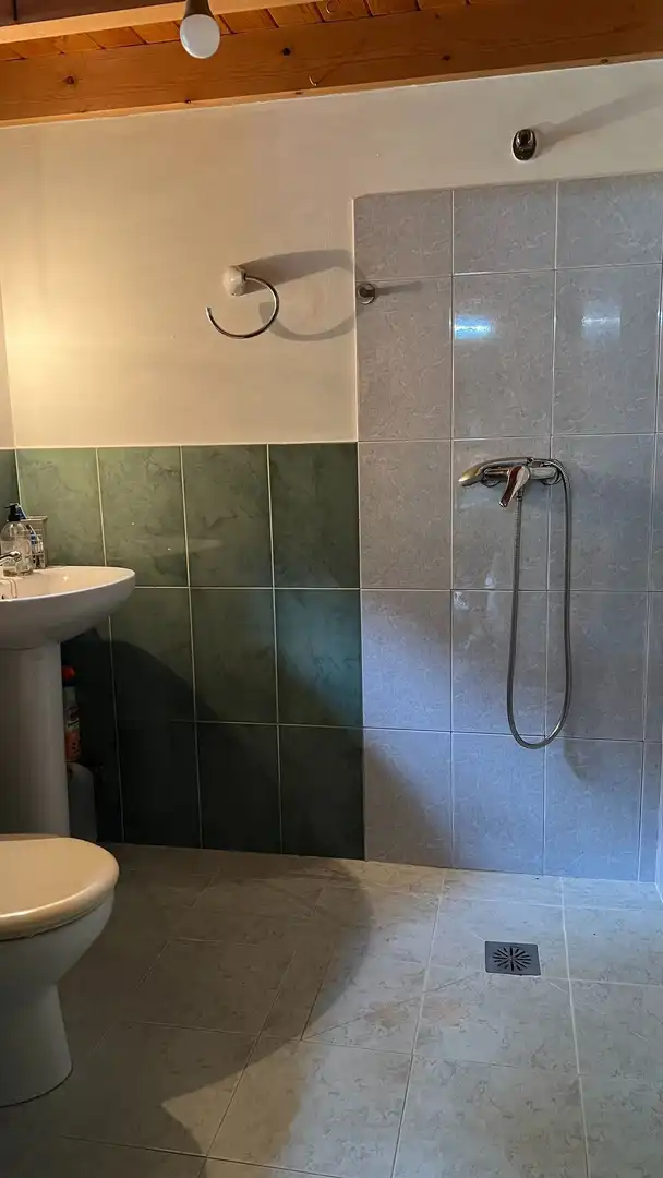 Bathroom of Houses for sale in Ponga