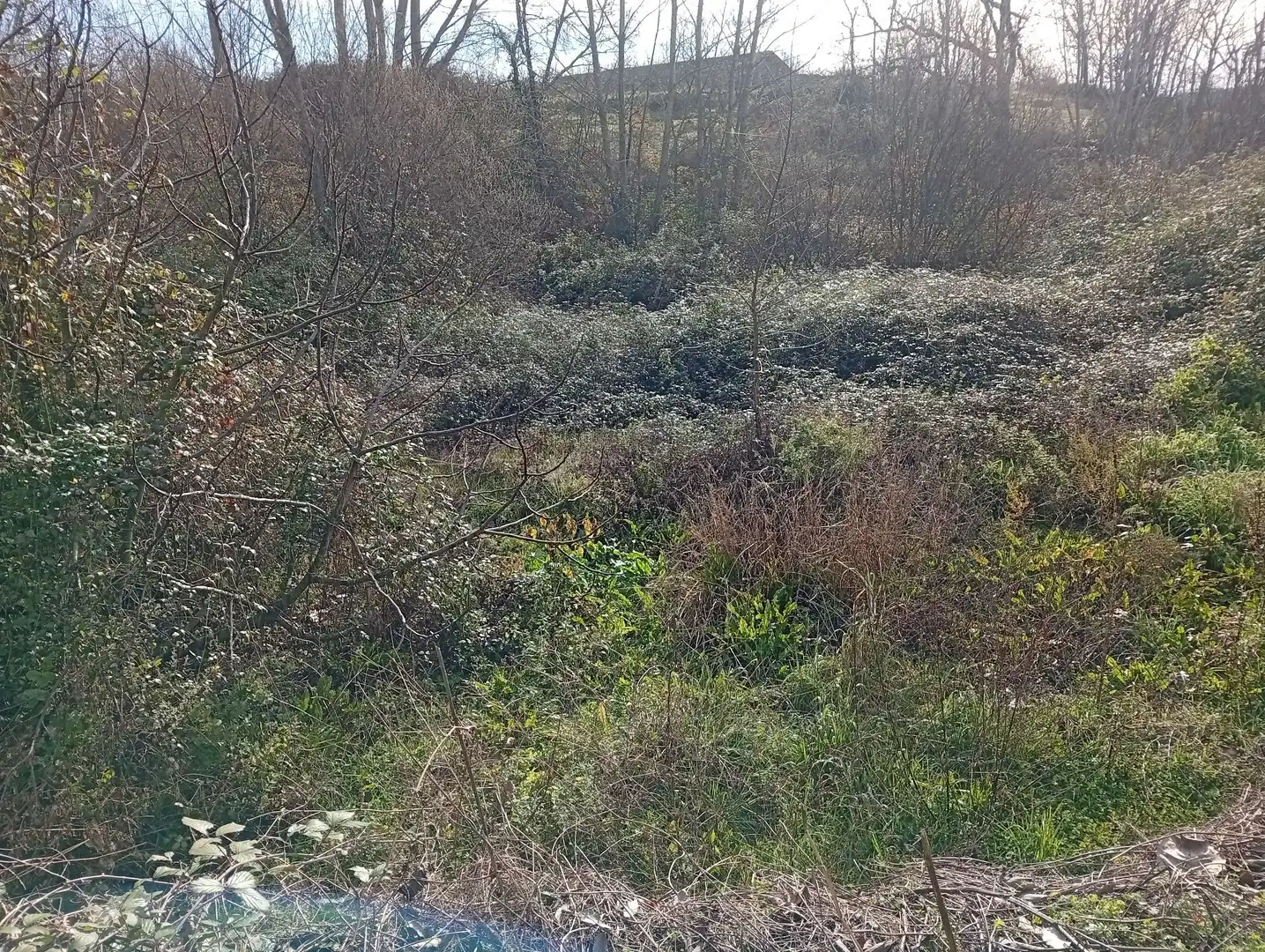 Terreni e lotti in vendita a Valverde de la Vera, imagen 8