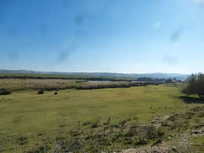 Terreny en venda en La Puebla de Montalbán