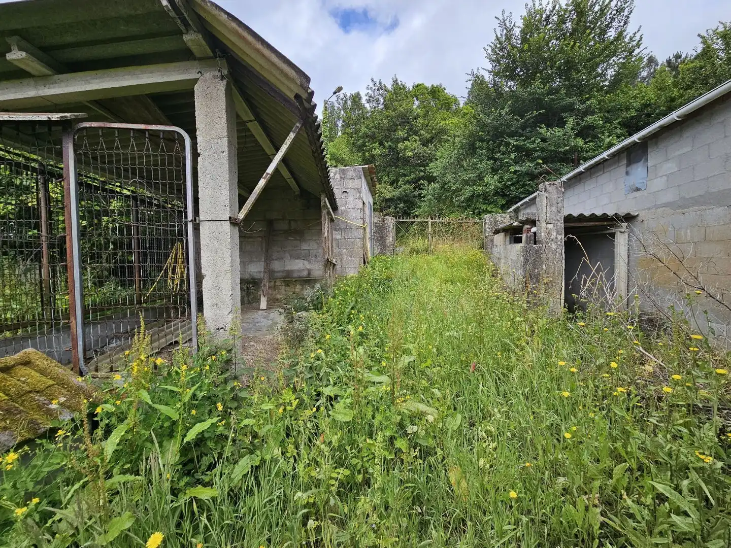 Casa o xalet en venda en Arteixo amb Jardí privat
