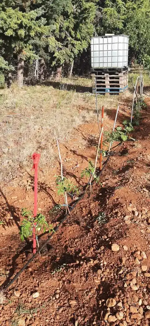 Jardí de Finca rústica en venda en Barásoain amb Jardí privat i Piscina