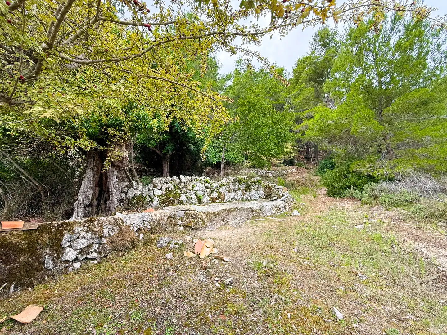 Maison rustique avec jardin à vendre à Bunyola, imagen 47