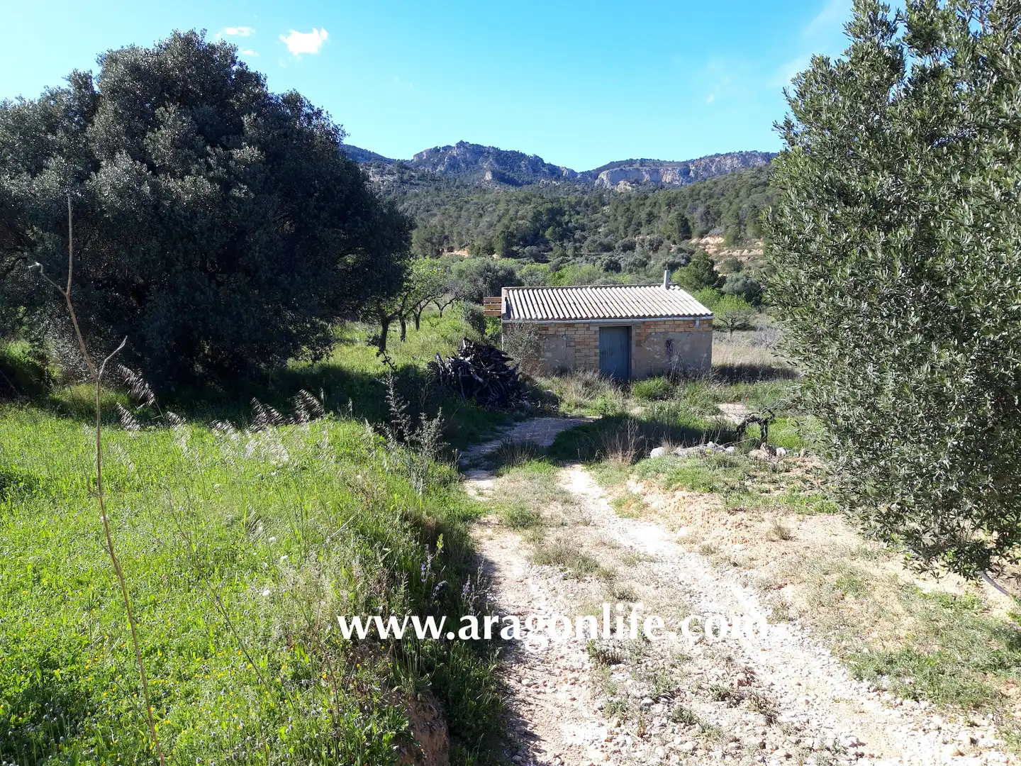 Country homes for sale in El Pinell de Brai