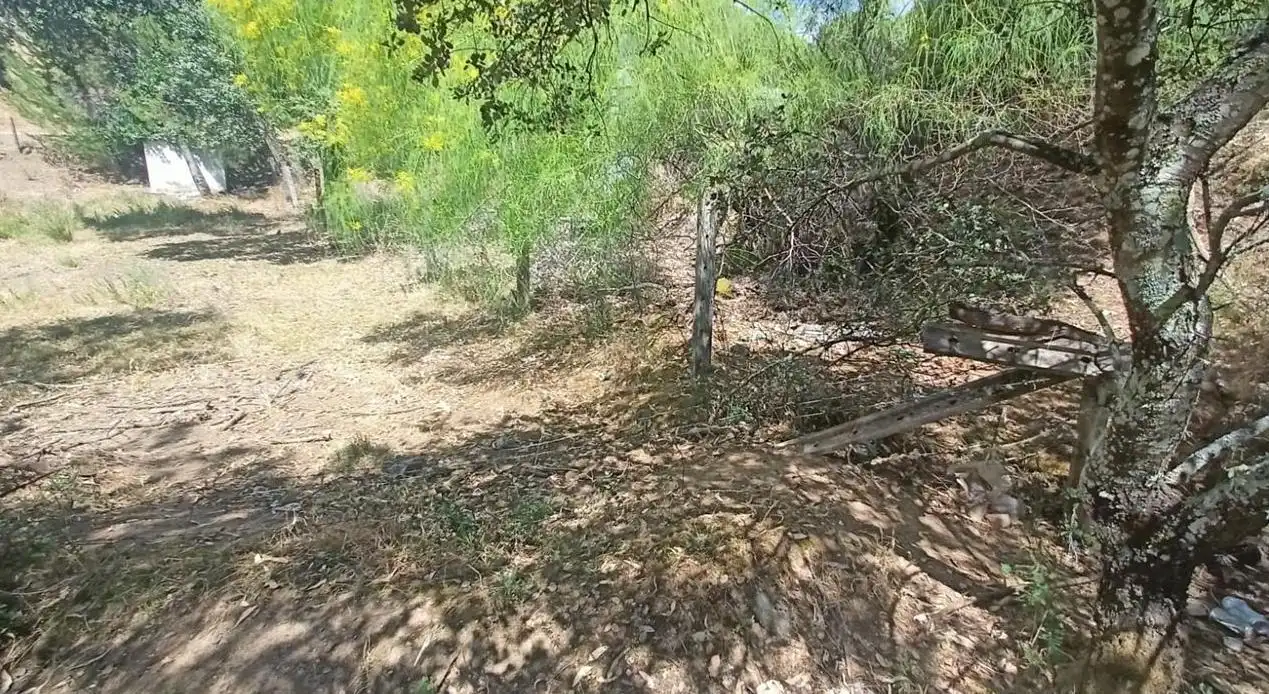 Lands and plots for sale in Campamento, imagen 12