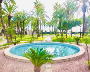 Garden of Flat for sale in Torrevieja  with Air Conditioner and Terrace