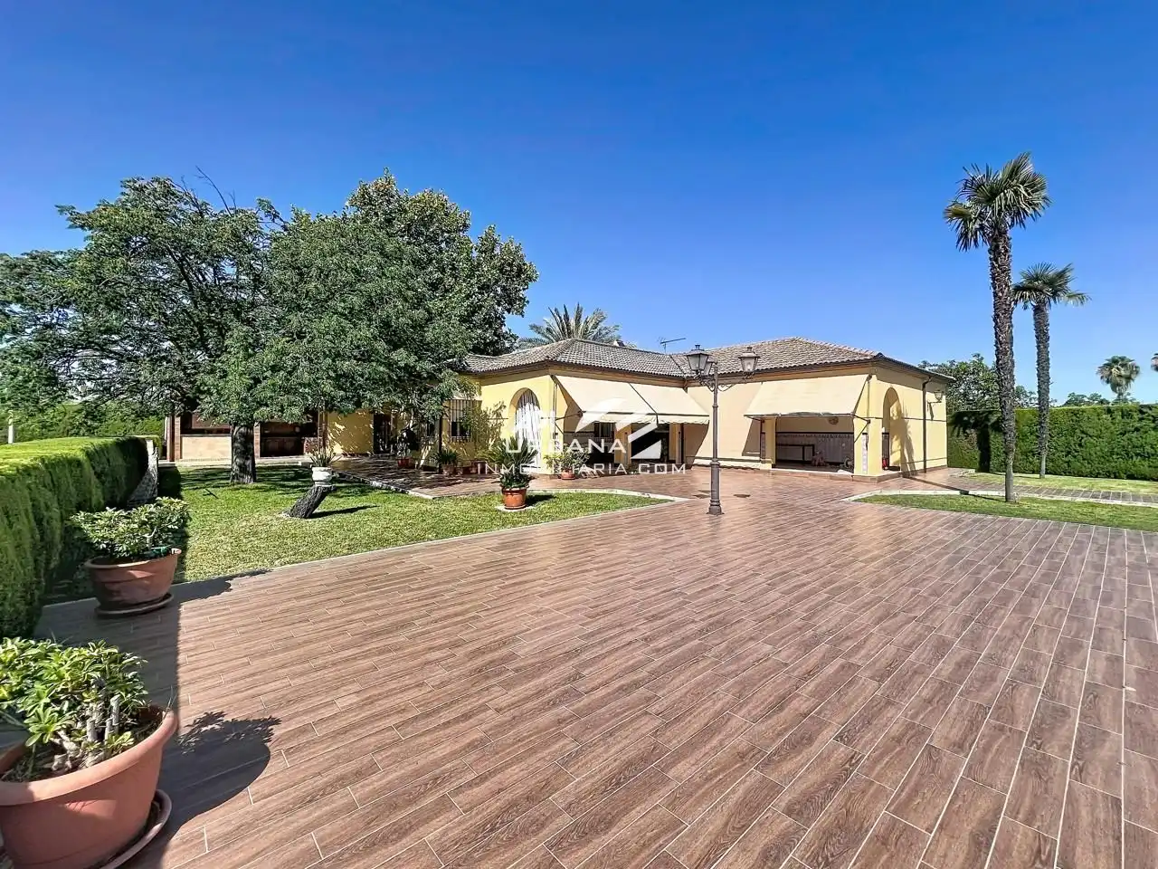 Vista exterior de Casa o xalet en venda en Lucena amb Aire condicionat i Piscina