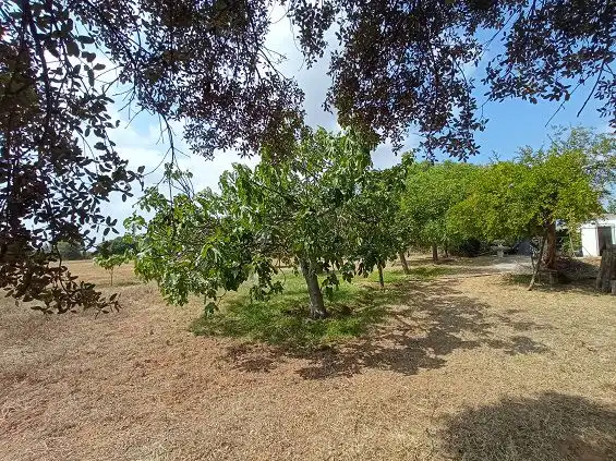 Residencial en venda en Constantí