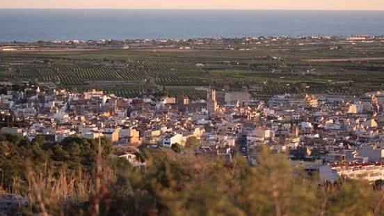 Local comercial en Alquiler en Carrer de Ramon i Cajal en Alcanar