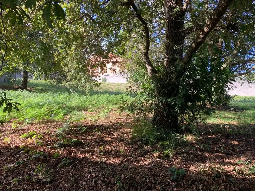 Wohnbaugrundstück zum Verkauf in Rúa Xiabre, imagen 8