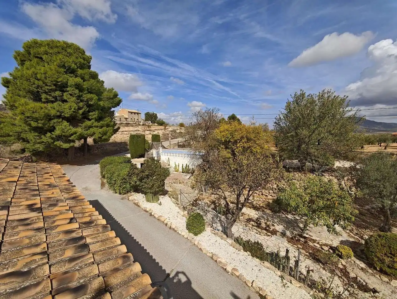 Vista exterior de Finca rústica en venta en Yecla con Terraza y Amueblado