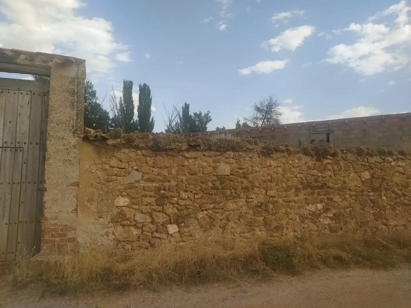 Terreni e lotti in vendita a Calamocha