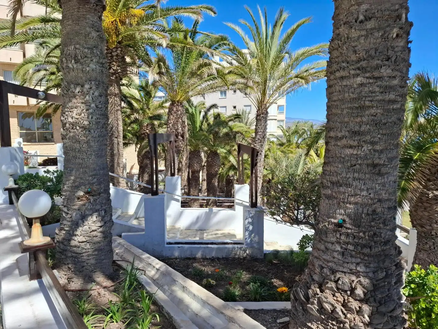 Vista exterior de Apartament en venda en El Campello amb Jardí privat, Terrassa i Piscina comunitària