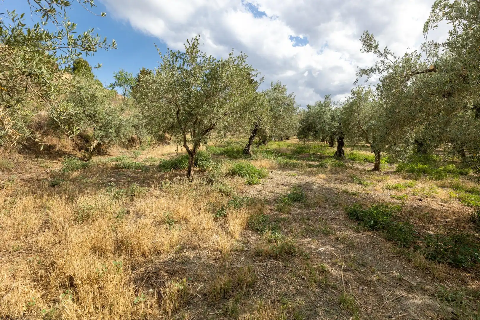 Terreno rustico in vendita a Calle POL 1, PARC 176, imagen 17