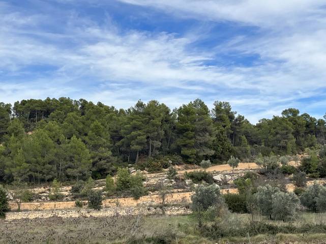 Terreno en Venta en Calle Fuente Arrabal, 48 en Lledó