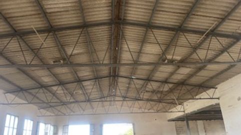 Nave Agricola, en terreno rustico en el Municipio de Algaida, immagine 2